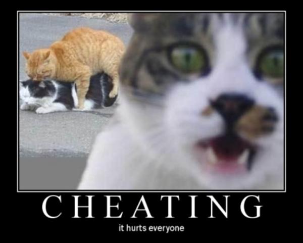 cheating_cats